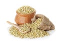 Green buckwheat isolated on a white