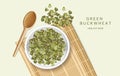 Green buckwheat vector realistic. Product placement mock up. Fresh healthy foods