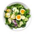 Green Buddha Bowl with Spring Herbs and Vegetables, Healthy Balanced Meal, Bowl or Salad on White Background Royalty Free Stock Photo