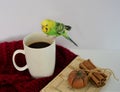 Green budgie coffee cinnamon white background