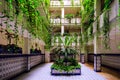 Green building with plants growing on the wall. Ecology and green living in city, urban environment concept. Royalty Free Stock Photo