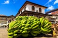 Green bunch of bananas lying in a street