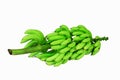 the green bunch of bananas on white background isolated Royalty Free Stock Photo