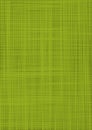 Green burlap. Green textured sacking background