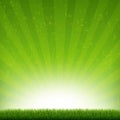 Green Burst Banner With Rays And Grass Royalty Free Stock Photo