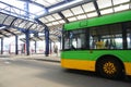 Green bus at stop