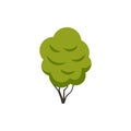 Green Bush Icon