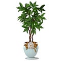 Green bush with leaves in decorative white pot