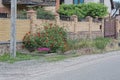 green bush with red rose flowers on the street near the brown long brick wall Royalty Free Stock Photo