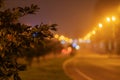 Foggy night cityscape. A bush along a night highway. Blurred image. Royalty Free Stock Photo