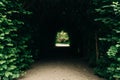 The green bush tunnel arch in the garden