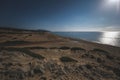 green bushes on the beach in front of the water under the shining sun Royalty Free Stock Photo