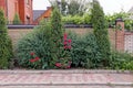 Green bushes, flowers and decorative coniferous trees along the brick fence at the sidewalk