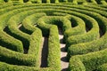 Green bushes maze Royalty Free Stock Photo