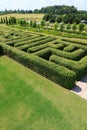 Green bushes maze Royalty Free Stock Photo