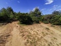 Green bushes on the stony road to the beach of the island of Rab Royalty Free Stock Photo