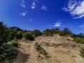 Green bushes on the stony road to the beach of the island of Rab Royalty Free Stock Photo