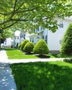 Green bushes in summer day.