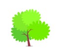 Green Bushy Tree with Big Round Branches Vector