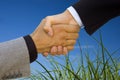 Green business handshake Royalty Free Stock Photo