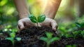 Green Business: Implementing CSR and Planting for a Sustainable Future Royalty Free Stock Photo
