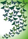 Green butterflies. Abstract background. Royalty Free Stock Photo
