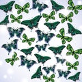 Green butterflies. Abstract background. Royalty Free Stock Photo