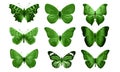 green butterflies isolated on white background. tropical moths. insects for design. watercolor paints Royalty Free Stock Photo