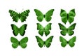 green butterflies isolated on white background. tropical moths. insects for design. watercolor paints Royalty Free Stock Photo