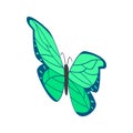 Green butterfly icon, isometric 3d style Royalty Free Stock Photo