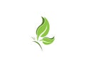 Green butterfly leaf logo design template Royalty Free Stock Photo
