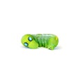 Green butterfly worm or Leaf eating caterpillar Royalty Free Stock Photo