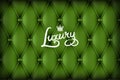 Green Buttoned luxury leather Royalty Free Stock Photo