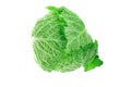 Green cabbage Royalty Free Stock Photo