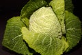 Green cabbage Royalty Free Stock Photo