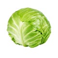 Green Cabbage Isolated