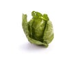 Green cabbage isolated on white Royalty Free Stock Photo