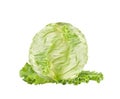 Green cabbage isolated on white background Royalty Free Stock Photo