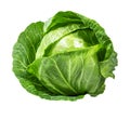 Green cabbage isolated on white Royalty Free Stock Photo