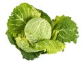 Green Cabbage Isolated on White Royalty Free Stock Photo