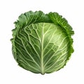 a green cabbage, layered leaves, side view, isolated Royalty Free Stock Photo