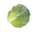 Green cabbage leaf on a white background, isolate, close-up. Vitamins Royalty Free Stock Photo