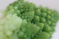 Green cabbage romanesco macro photography