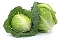 Two green cabbage vegatables on white background