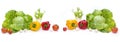 Panoramic view of a Green cabbage. Yellow pepper. Red tomatoes and cucumbers on a white background.