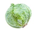 Green cabbagehead of fresh savoy cabbage