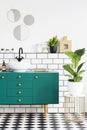 Green cabinet next to plant on gold table in modern bathroom interior with mirrors. Real photo