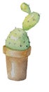 Cactus as ice-cream in a pot