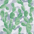 Green cactus on the background of khaki