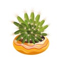 Green cactus with big thorns in a decorative orange pot. Vector illustration in flat cartoon style. Royalty Free Stock Photo